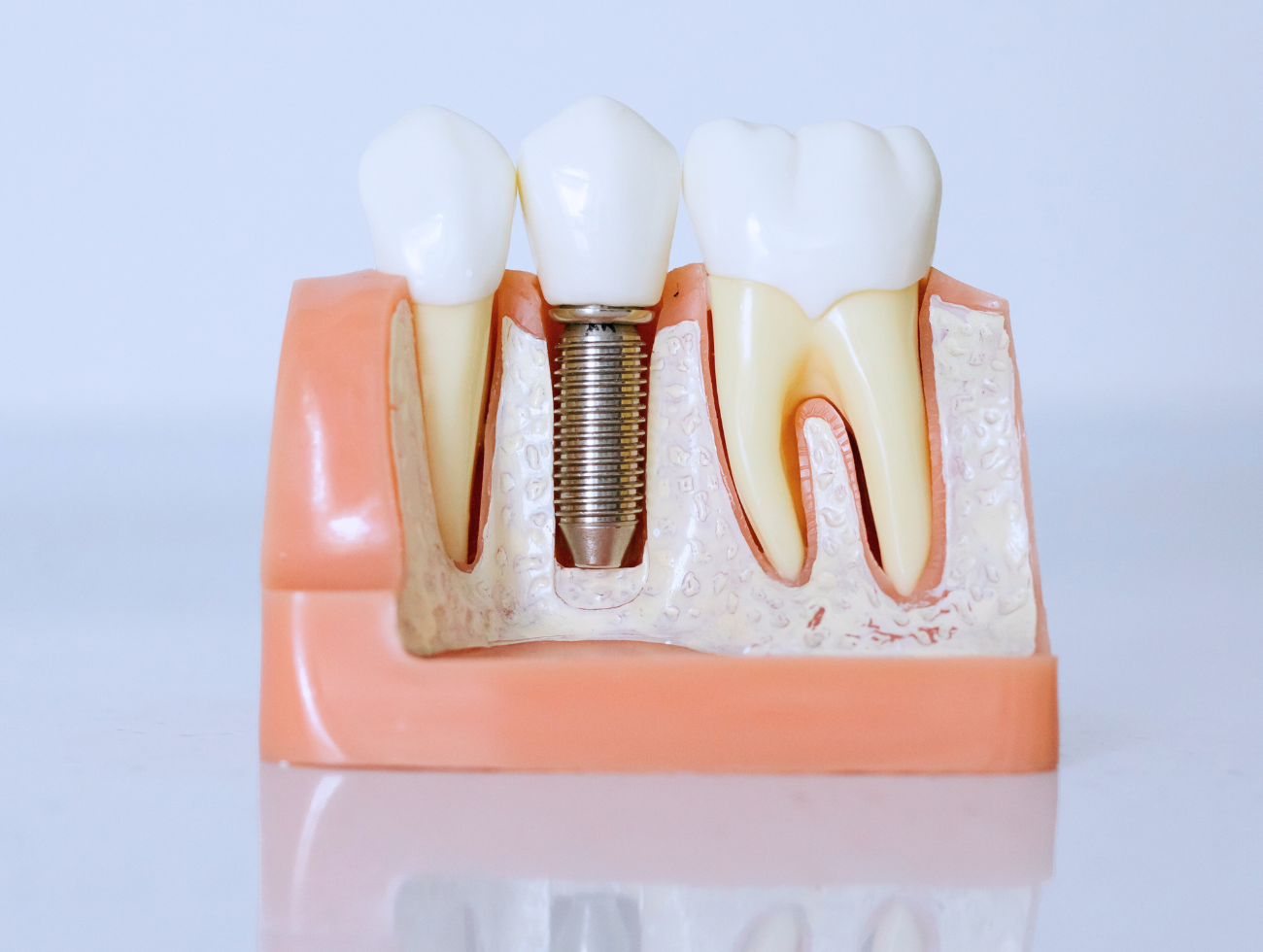 dental services - dental surgery